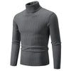 RAYMOND Patterned Turtleneck Sweater