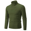 RAYMOND Patterned Turtleneck Sweater