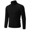 RAYMOND Patterned Turtleneck Sweater