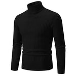 RAYMOND Patterned Turtleneck Sweater