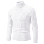 RAYMOND Patterned Turtleneck Sweater