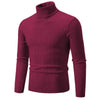 RAYMOND Patterned Turtleneck Sweater