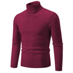 RAYMOND Patterned Turtleneck Sweater