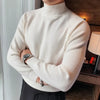 DARWIN Premium High-neck Sweater