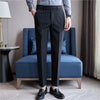 MARCO Tailored Fit Striped Dress Pants