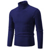 RAYMOND Patterned Turtleneck Sweater